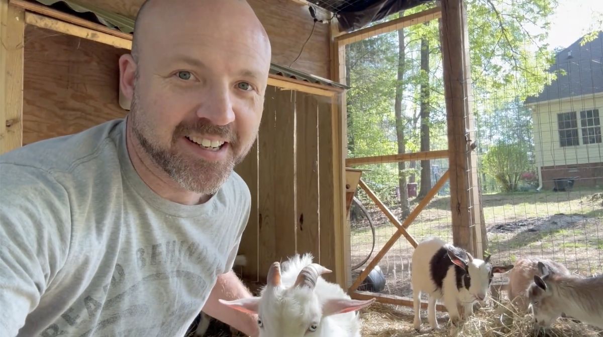 How To Have A Successful Web Services Practice